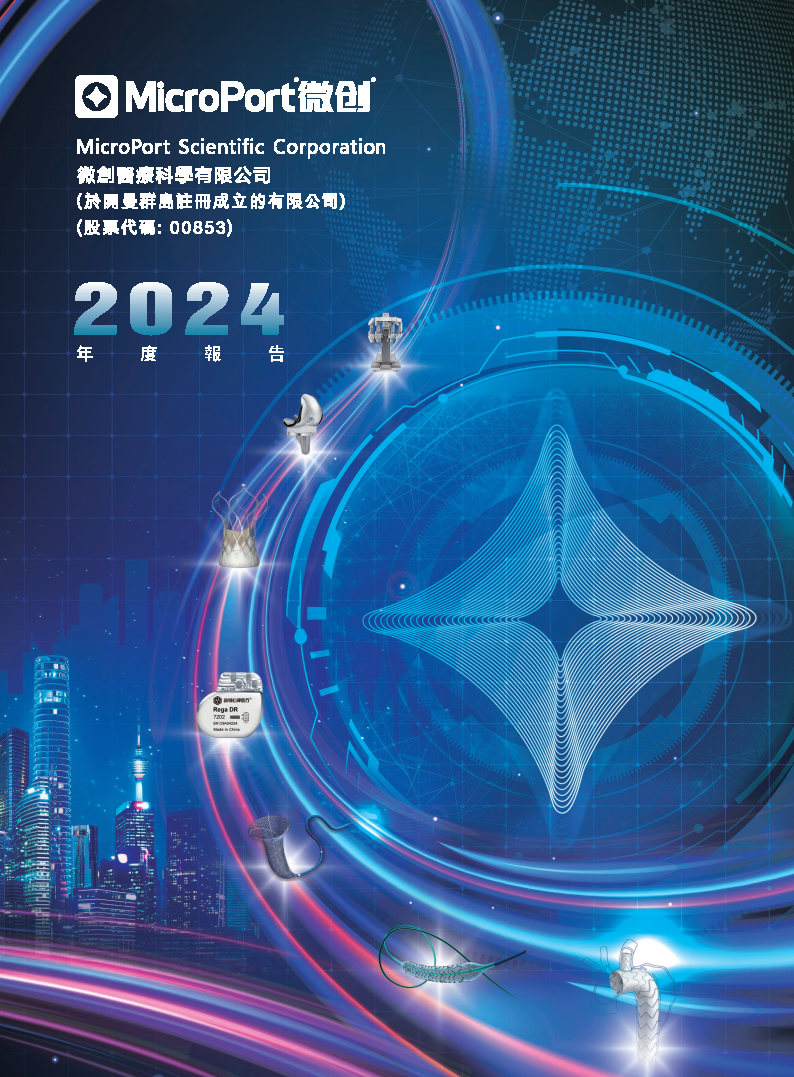 2024年年度报告